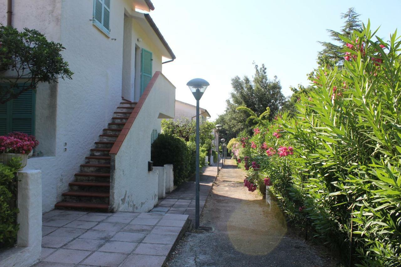 Apartamento Bilo Frank - Delizioso Bilocale Con Terrazzo Vista Mare Numana Exterior foto